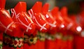 Dalahästar (Dalapaardjes), een symbool van Zweden