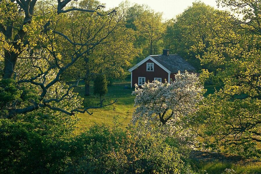Huur een vakantiehuis in Zweden