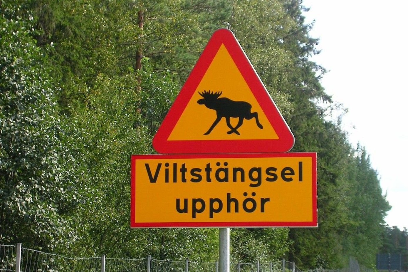 Dit bord geeft aan dat er verderop geen wildhekken meer staan.