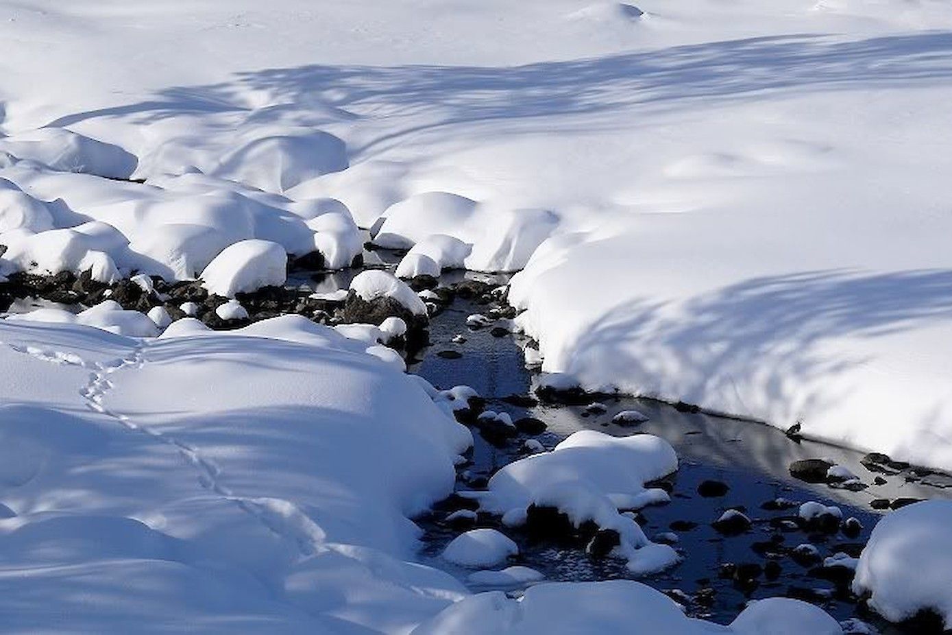 Norrbotten in de winter