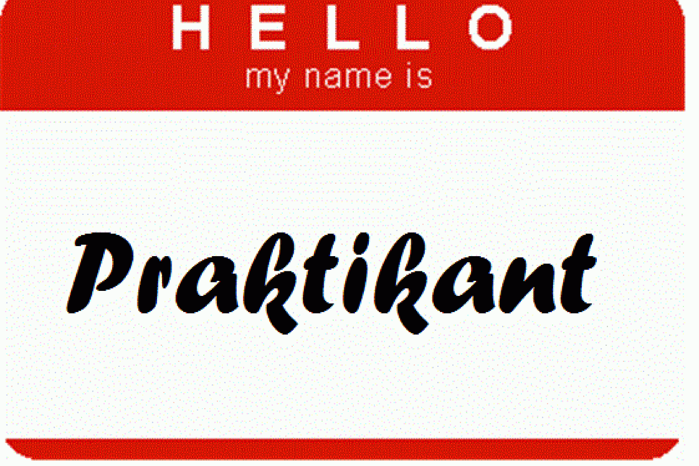 Praktikant is het Zweedse woord voor stagiair/stagiaire. Een stage is praktikplats of gewoon praktik.