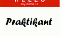 Praktikant is het Zweedse woord voor stagiar. Een stage is praktikplats of gewoon praktik.