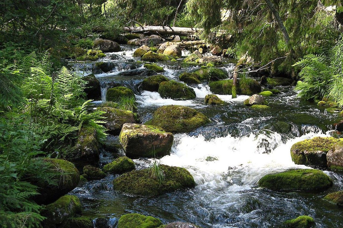 Water stroomt door Nationaal Park Fulufjället.