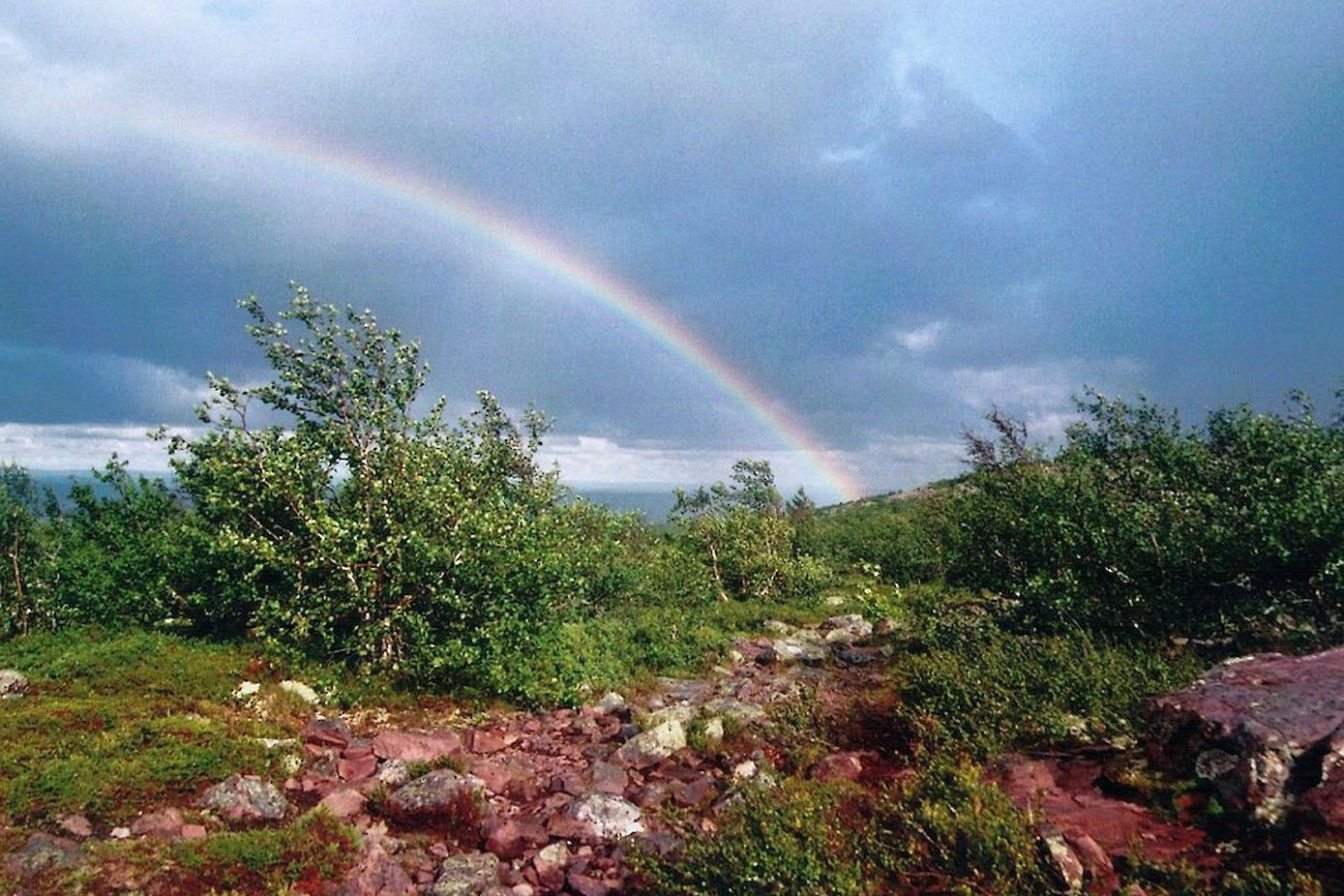 Regenboog boven Fulufjället.