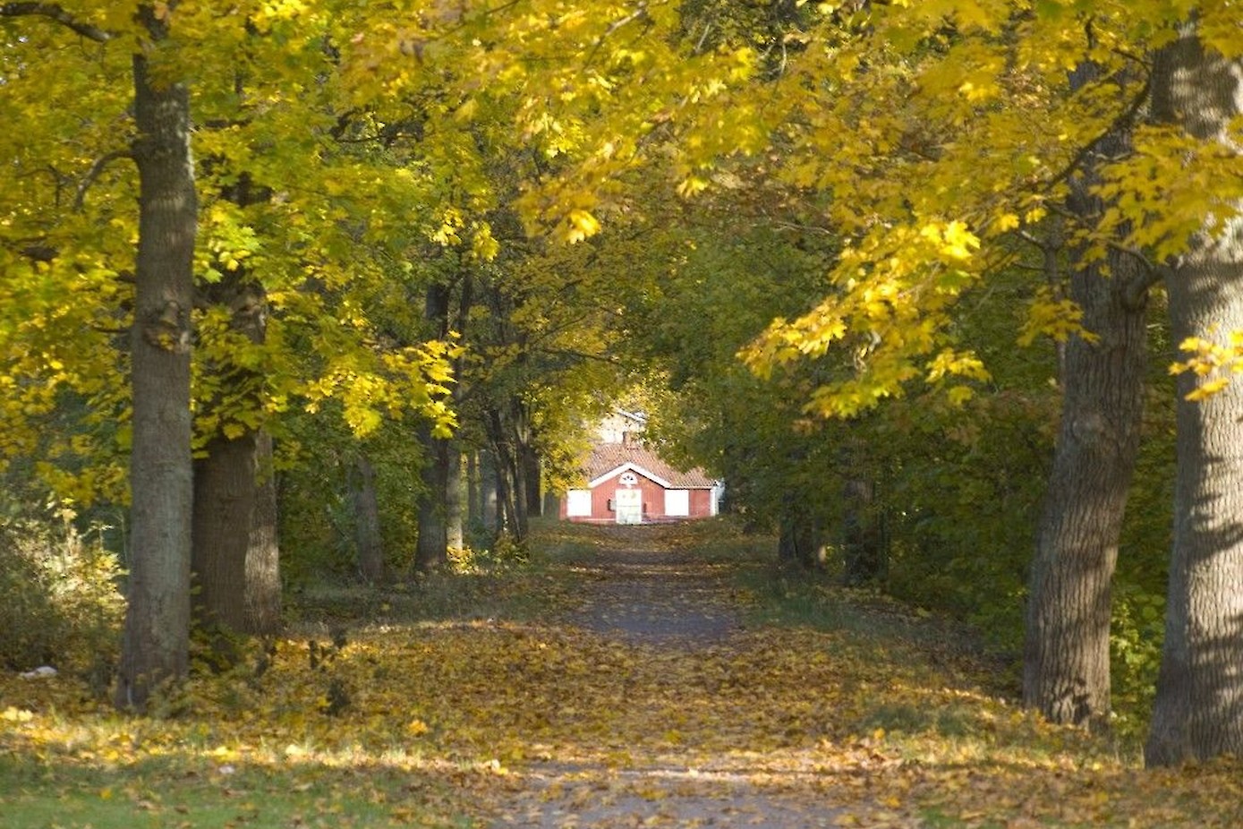 Skälby, net buiten het stadscentrum van Kalmar.