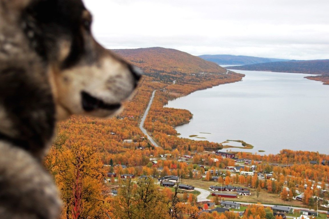 Uitzicht bij Klimpfjäll.
