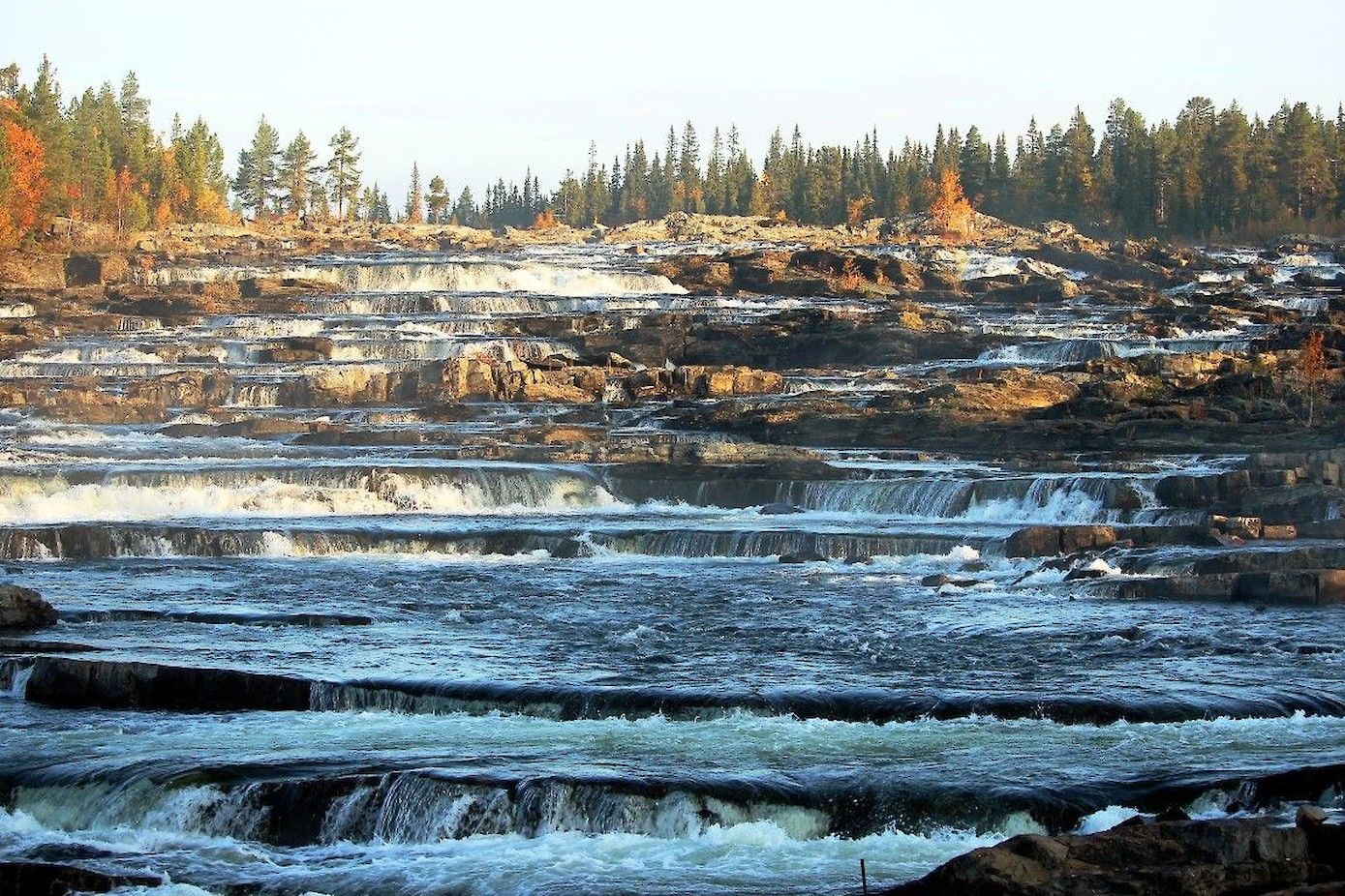 Trappstegsforsen bij Saxnäs.
