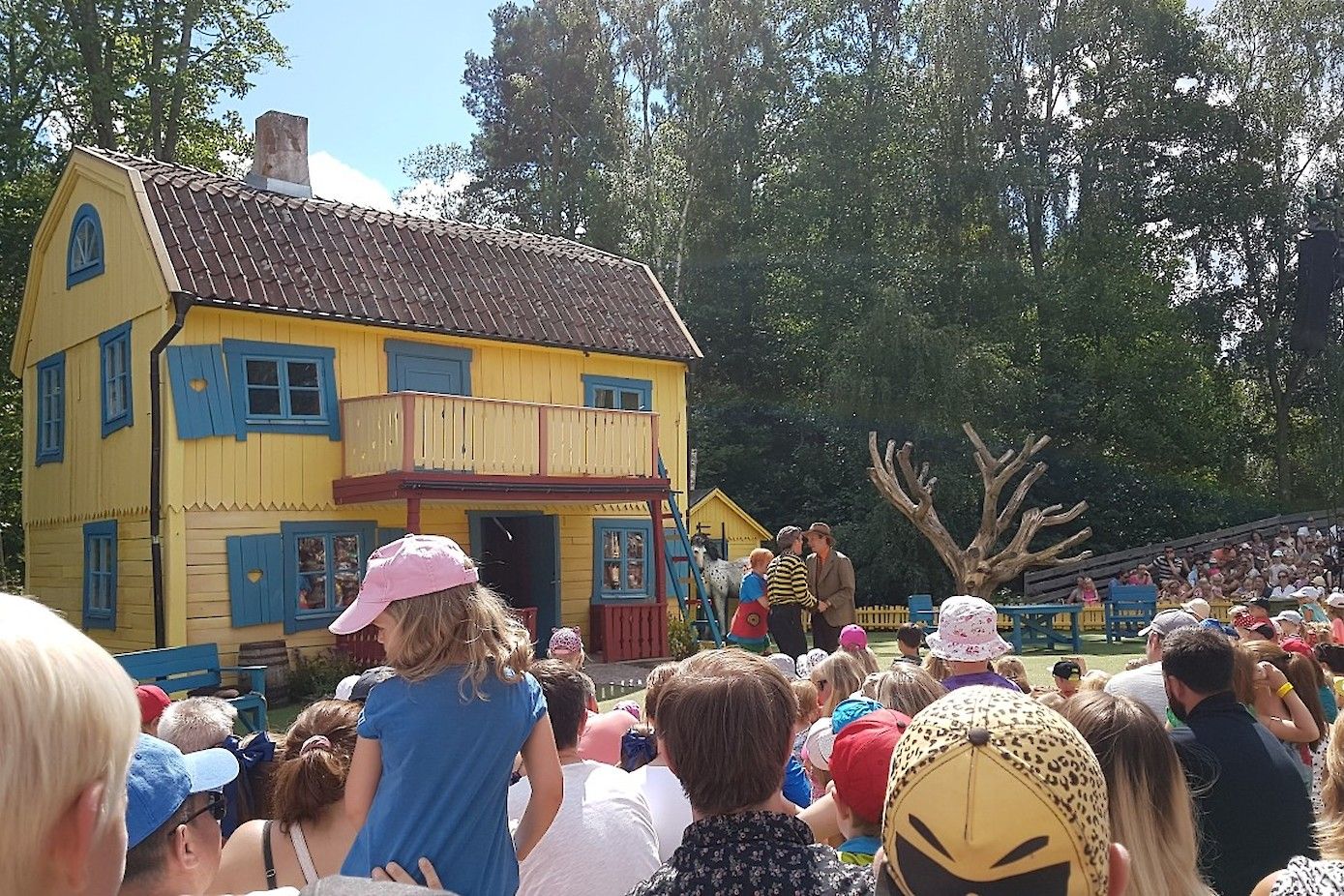 Pippi krijgt dieven op bezoek