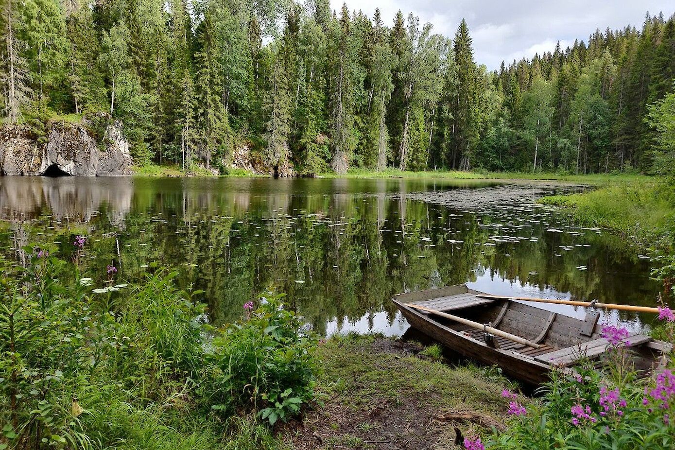 Jätturn Naturreservat, Dalarna