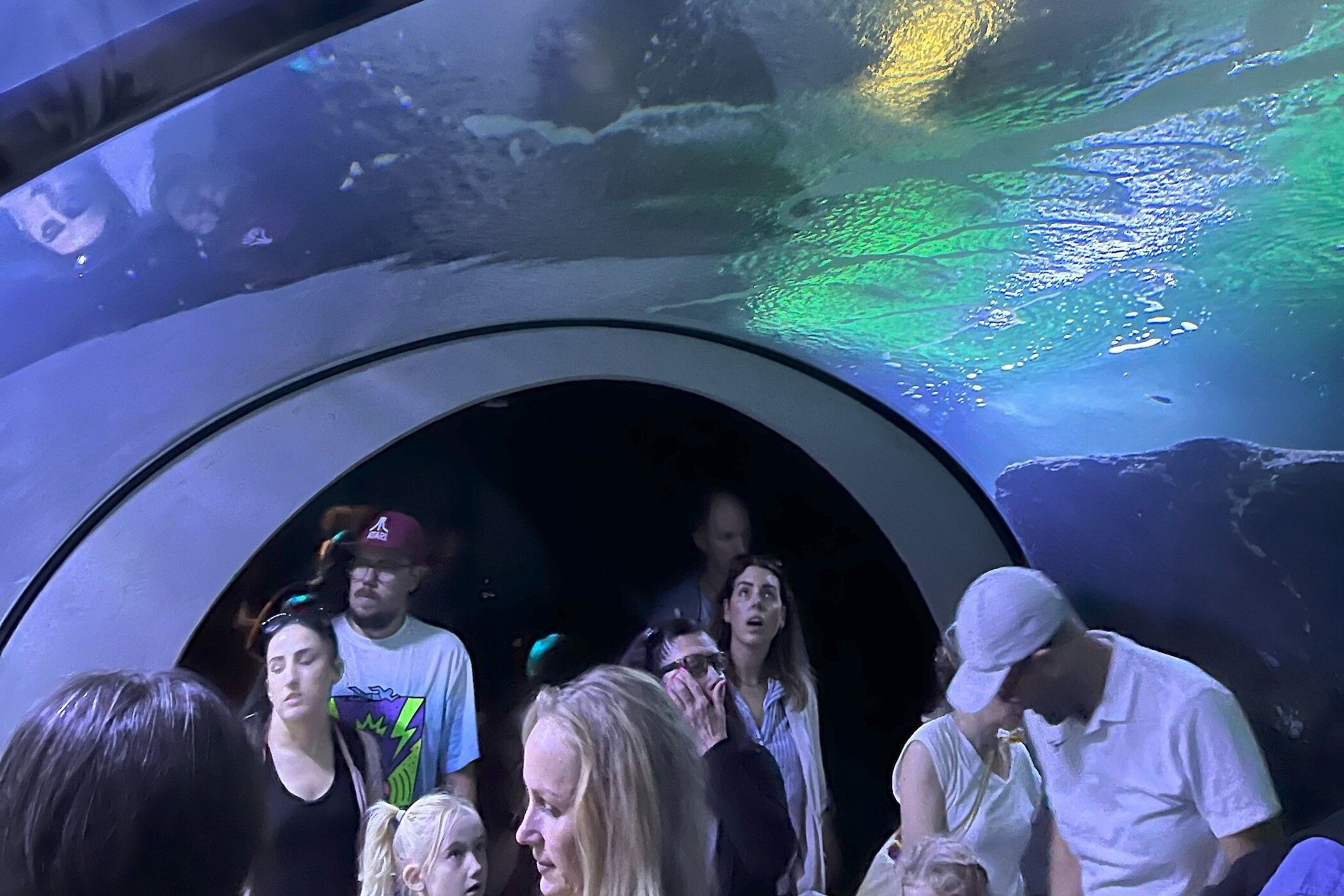 De onderwatertunnel in de aquariumhal