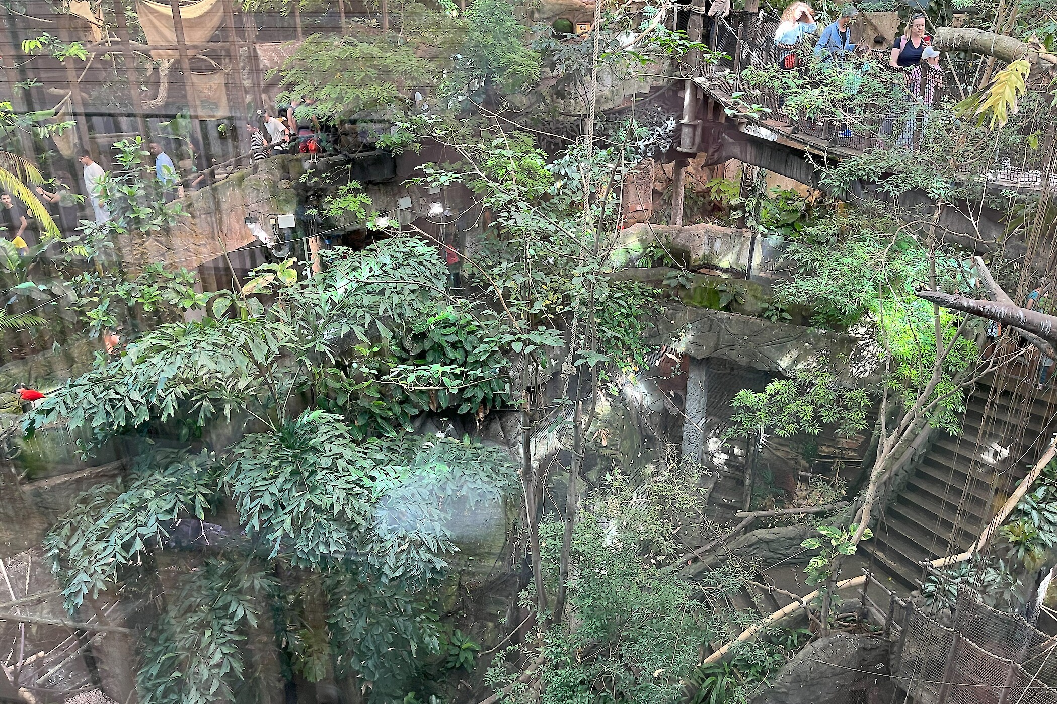 De indrukwekkende jungle. Ondek de geheimen van het regenwoud.