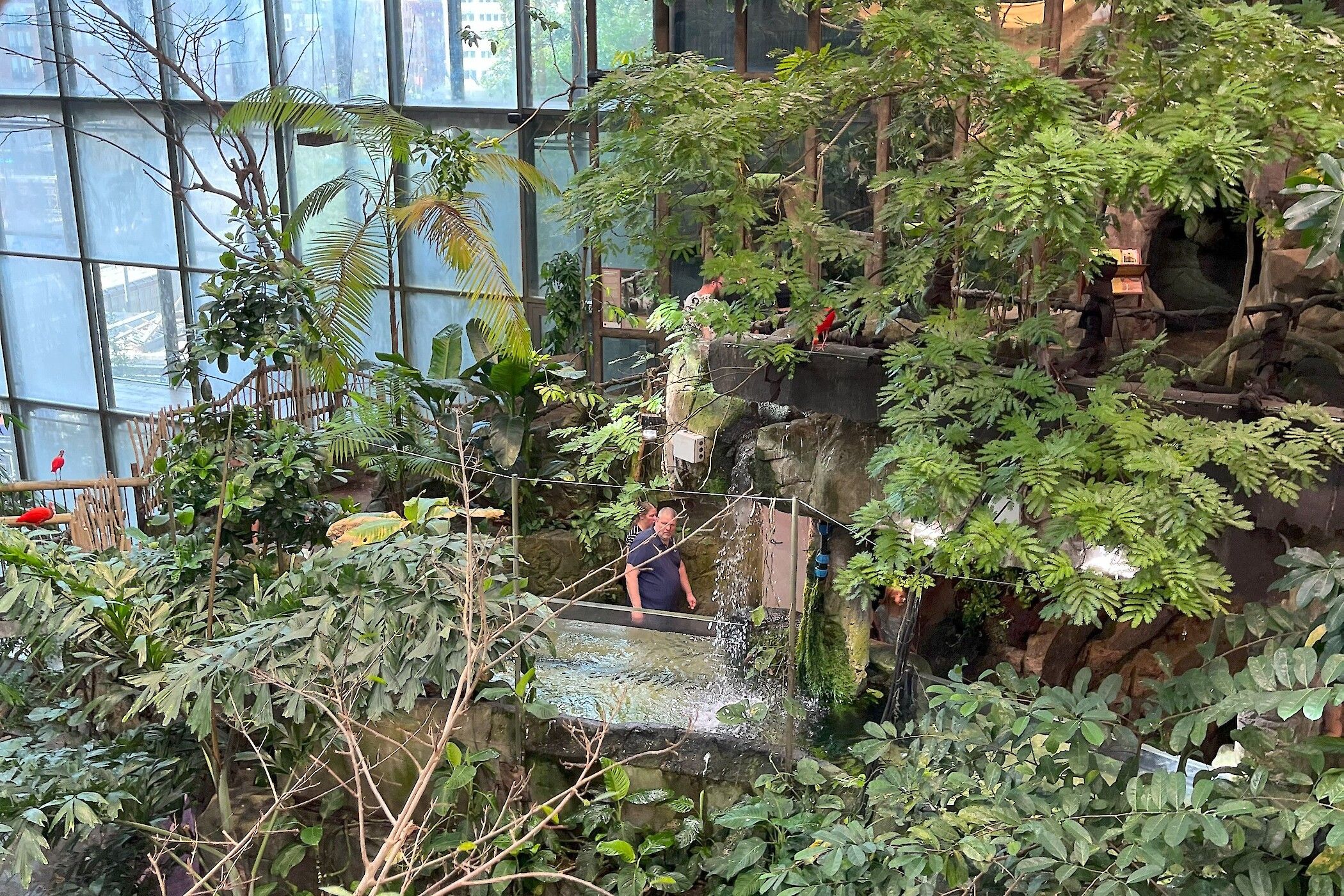 De jungle is verdeeld over meerdere verdiepingen.